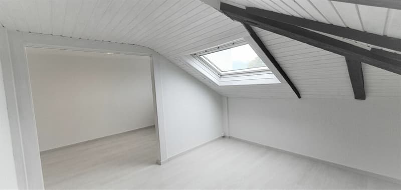 heimelige Dachwohnung an zentraler Lage (8)