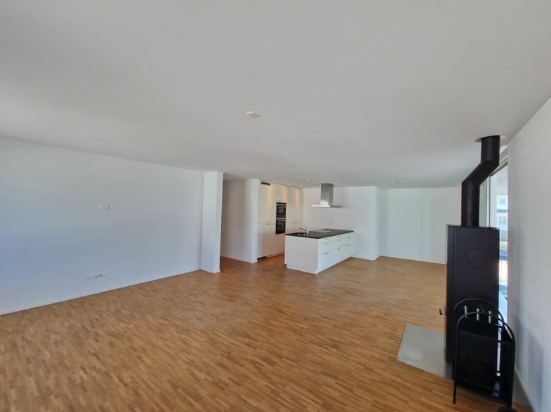 schöne moderne Wohnung mit viel Platz (1)