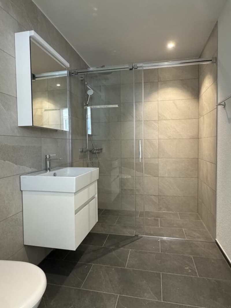 Appartamento di 1,5 locali in costruzione nuova, sopraelevazione "Wohnpark Oberdorf" (5)