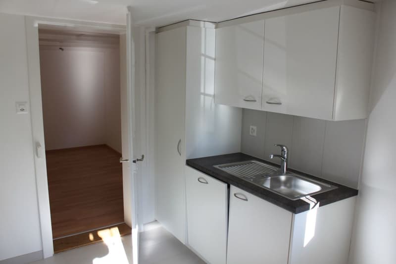 Appartement 3 pièces dans la vieille ville de Weinfelden (3)