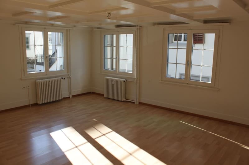 Appartement 3 pièces dans la vieille ville de Weinfelden (6)
