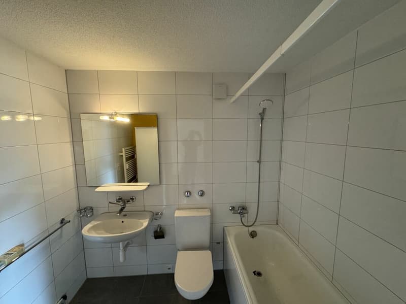 4.5 Zimmer - Wohnung (8)