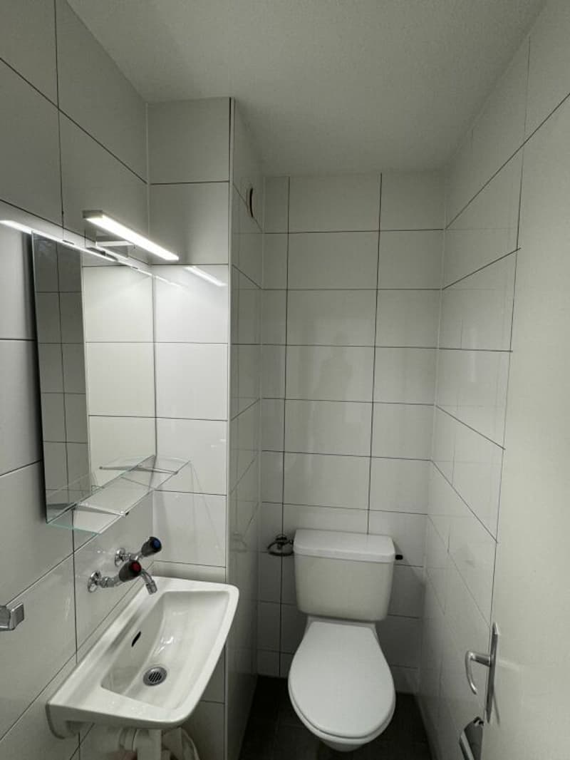 4.5 Zimmer - Wohnung (9)