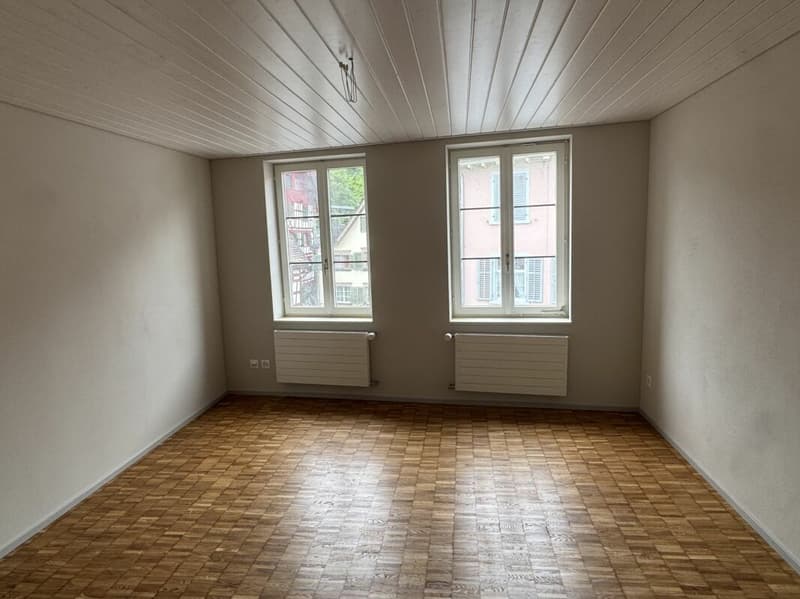 Grosszügige Altbauwohnung mit Garten in der Weinfelder Altstadt (6)