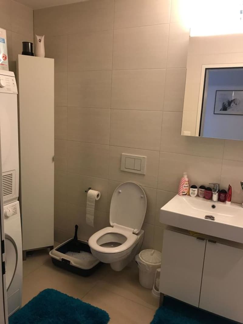 Ansprechende 4.5 Zimmer Wohnung im 1. OG Kopie (7)