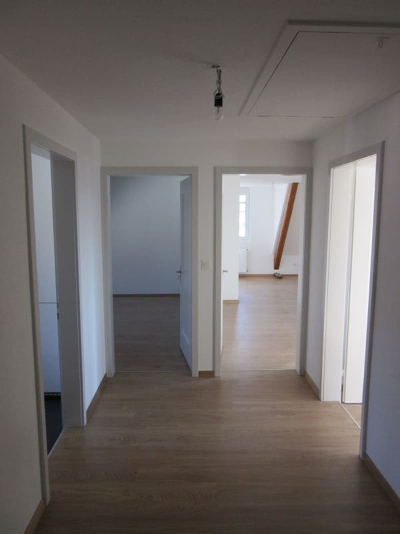 3.5 Zimmer - Wohnung (4)