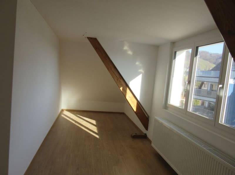 3.5 Zimmer - Wohnung (3)