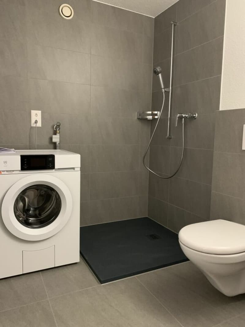 Charmante 3.5-Zimmer-Wohnung - nur wenige Schritte zum See (5)