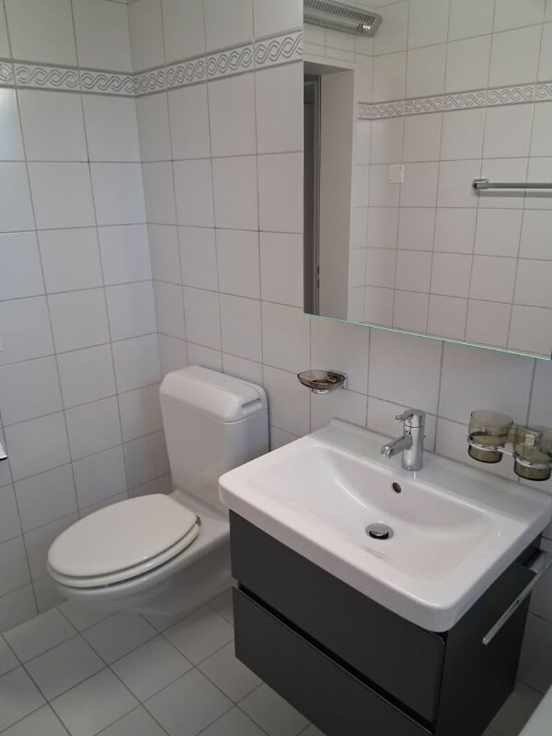 Grosszügige 5.5 Zi.- Maisonettewohnung, ca. 150m2 (10)