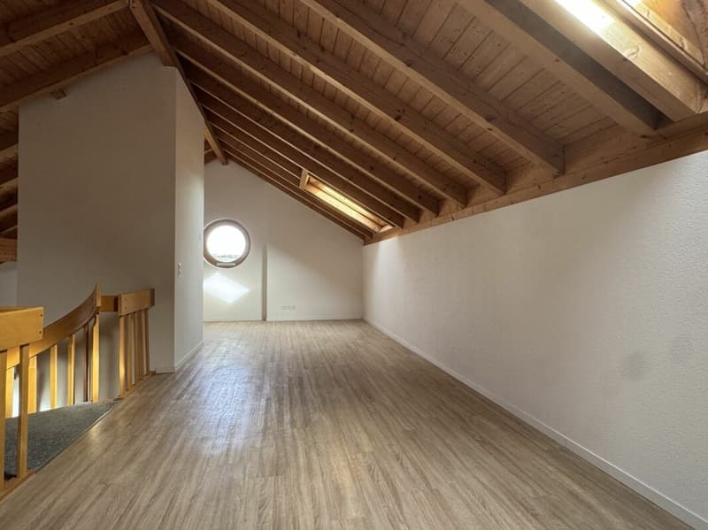 Grosszügige 5.5 Zi.- Maisonettewohnung, ca. 150m2 (6)