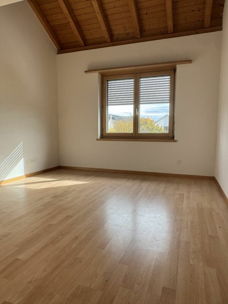 Grosszügige 5.5 Zi.- Maisonettewohnung, ca. 150m2 (8)