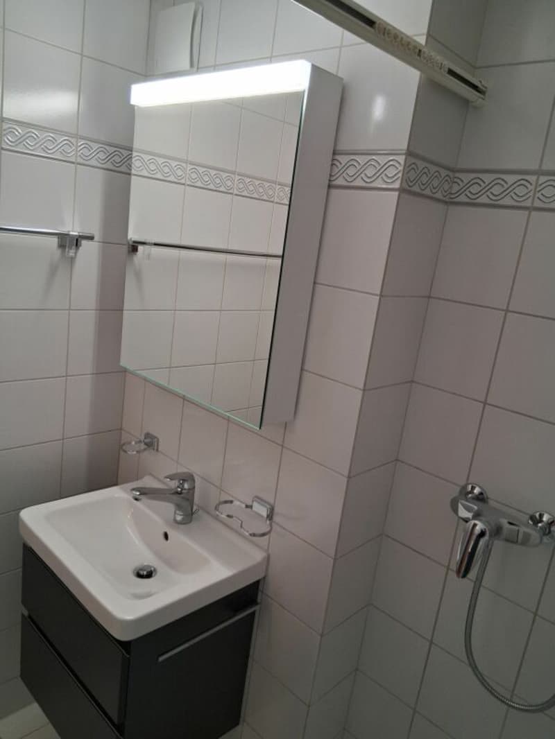 Grosszügige 5.5 Zi.- Maisonettewohnung, ca. 150m2 (11)