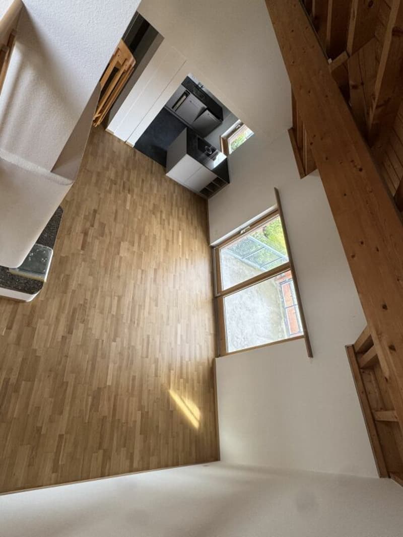 Grosszügige 5.5 Zi.- Maisonettewohnung, ca. 150m2 (4)