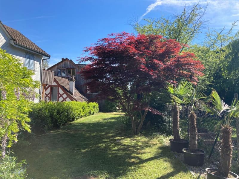 Grosszügiges Altstadthaus mit Garten in der Weinfelder Altstadt (13)