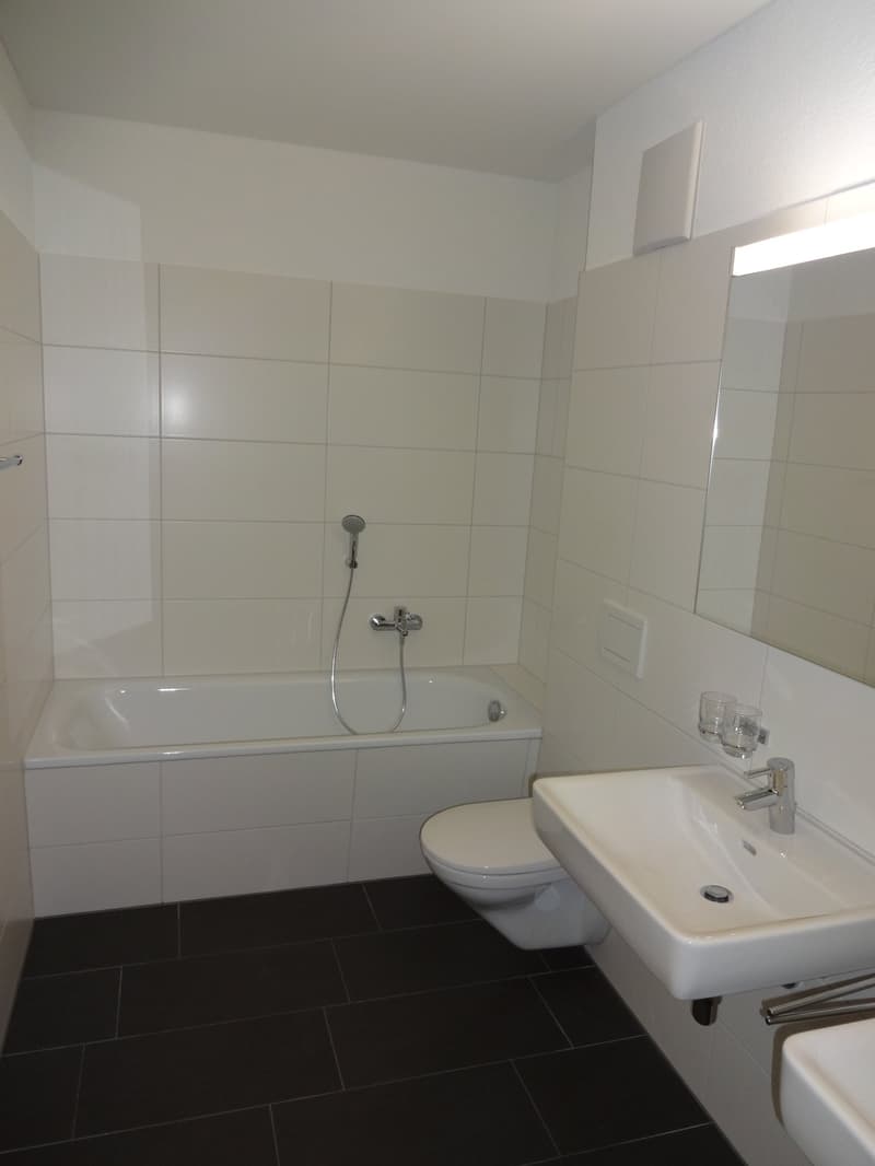 Spezielle 3.5-Zi. Wohnung mit grossem Balkon (10)