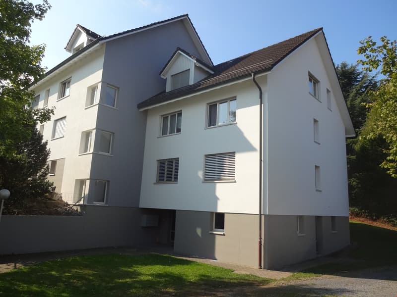 lässige 3.5-Zi. Erdgeschoss-Wohnung mit Balkon (2)