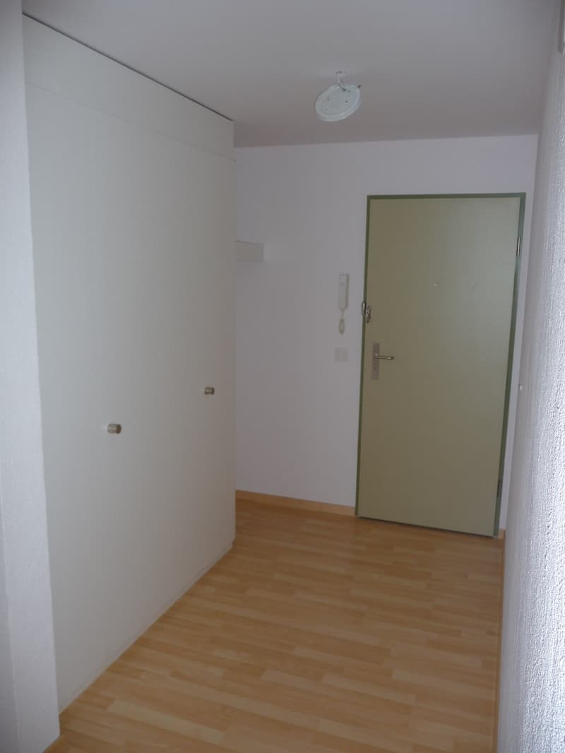 lässige 3.5-Zi. Erdgeschoss-Wohnung mit Balkon (6)