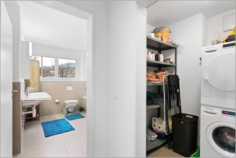 4.5 ZW Stapfenwis Rheineck
