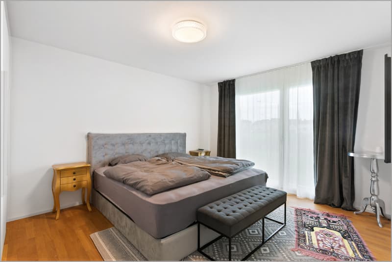 4.5 ZW Stapfenwis Rheineck
