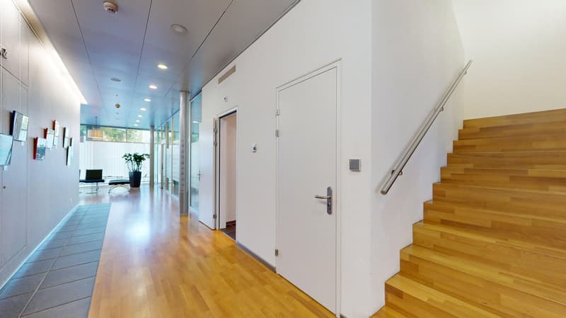 Wooden stairs, entrance door, hallway, open room with plant, tiles on the floor