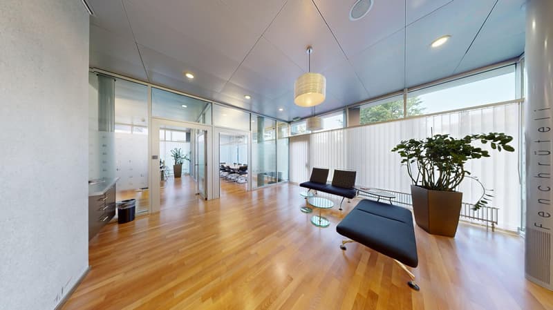 Spacious room with modern design, wooden floor, glass walls, large windows, white ceilings, glass tables, black couches, plants, trash bin, and cabinets.