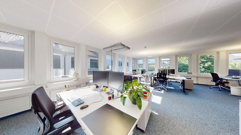 A modern office space with white walls, grey carpet flooring, and an array of desks and office chairs, with large windows letting in plenty of natural light. The room has large windows on the side and large windows at the back. The room is well lit. It al