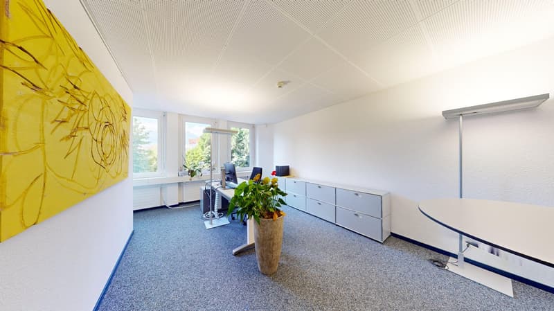 empty office room with carpet floor, yellow artwork, a desk with computer, a potted plant and storage cabinets