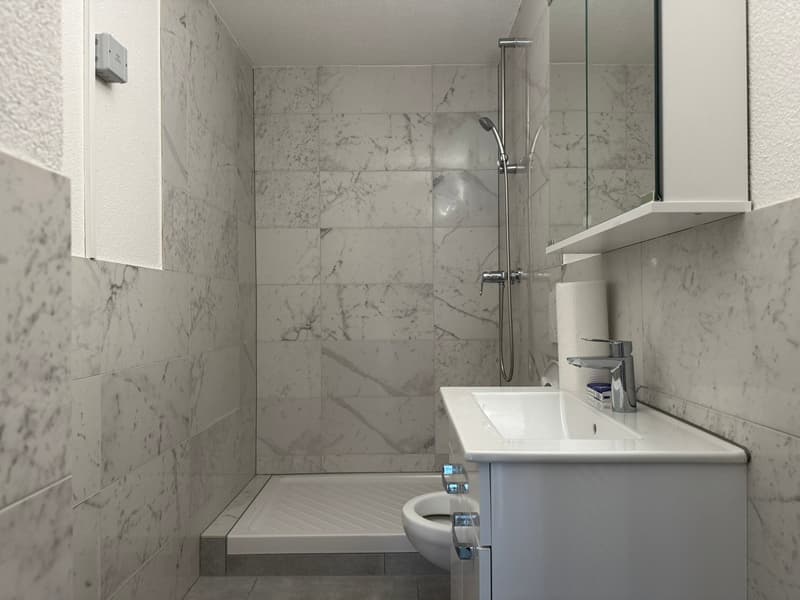 White marble tiles, modern shower with shower head, toilet, sink with a faucet, roll of toilet paper
