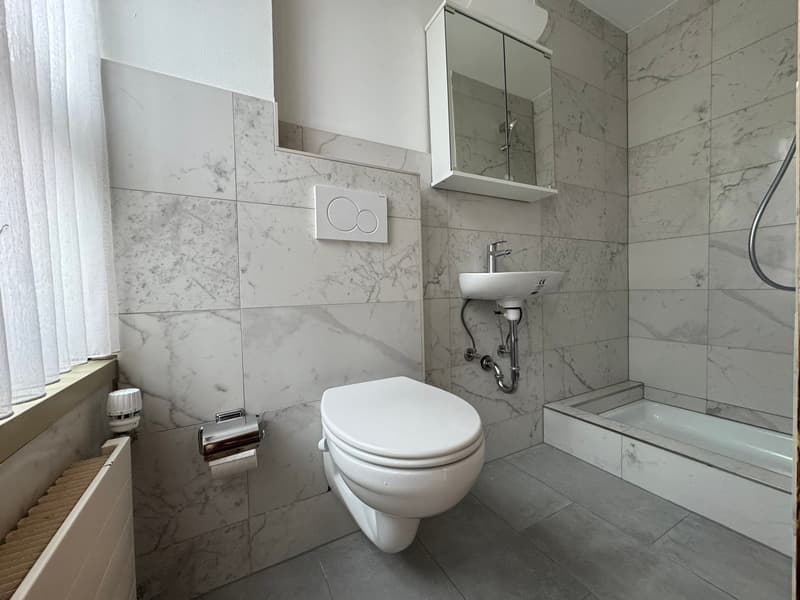 marble tiles, toilet, sink, shower, radiator, curtain