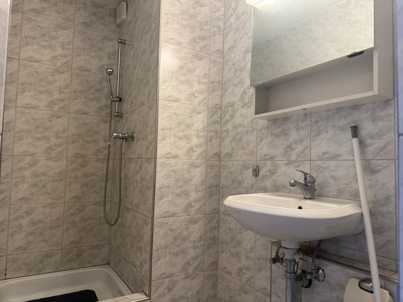 tiled walls, shower, sink, mirror, toilet