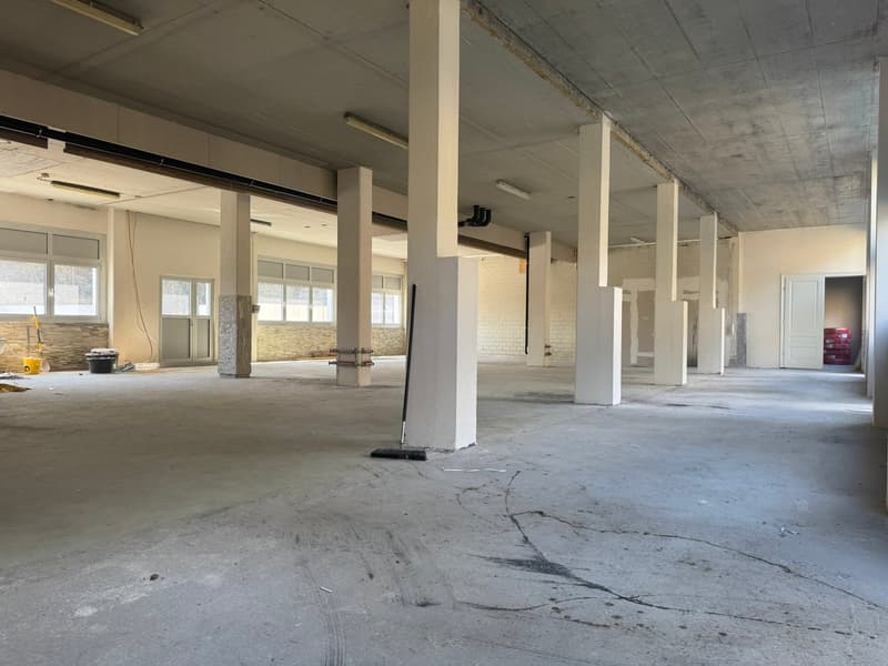 Gewerbehalle im Industrial Look – 267 m² im Erdgeschoss (2)