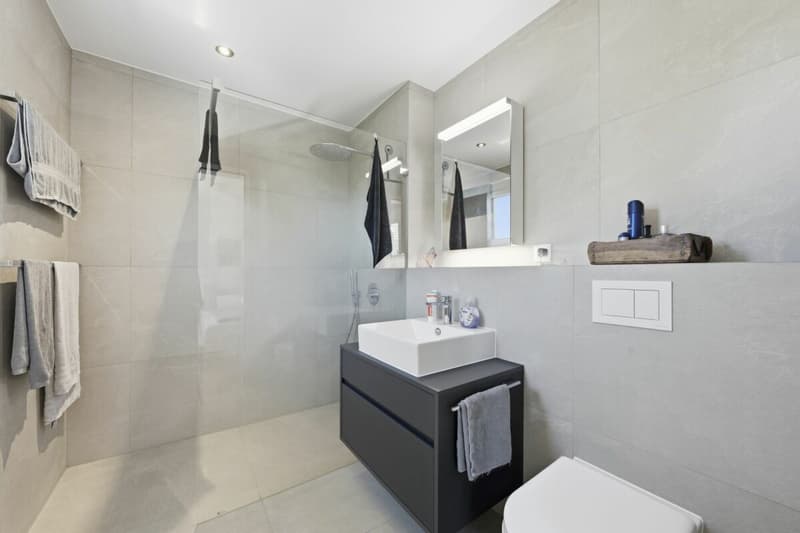Wohnen mit Stil - Exklusives 6½-Zimmer-Eckhaus (17)