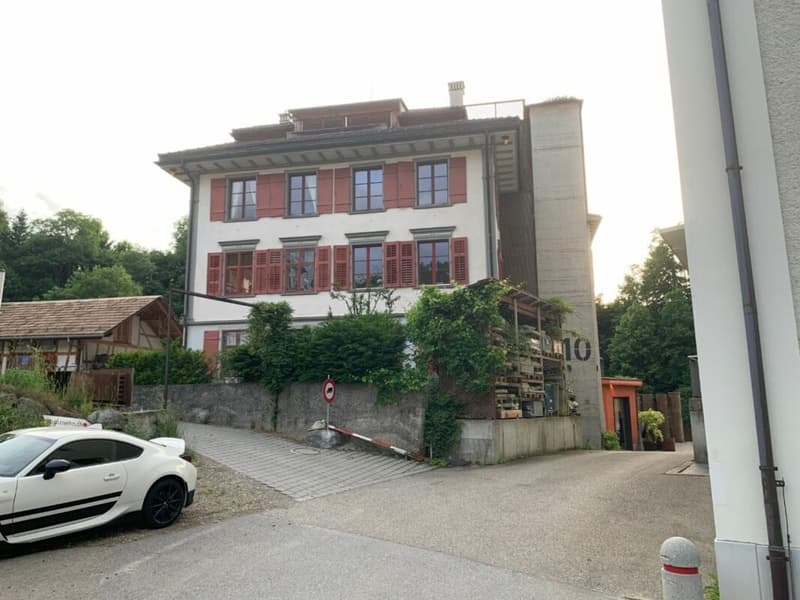 Schmuckstück - 6.5 Zi-Whg, vollsaniert mit 200m2-Dachterrasse (13)