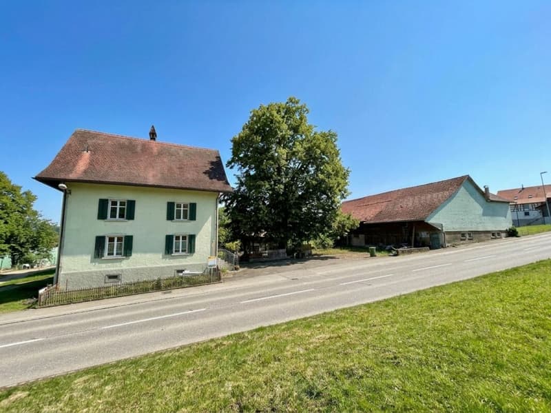 Zweifamilienhaus mit Scheune und Umschwung (1)