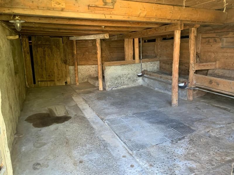 Zweifamilienhaus mit Scheune und Umschwung (19)