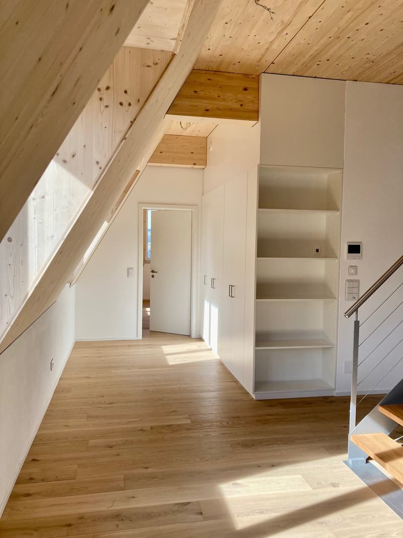 2.5-Zimmer-Dachwohnung 59m2 mit Dachterrasse 60m2 (4)