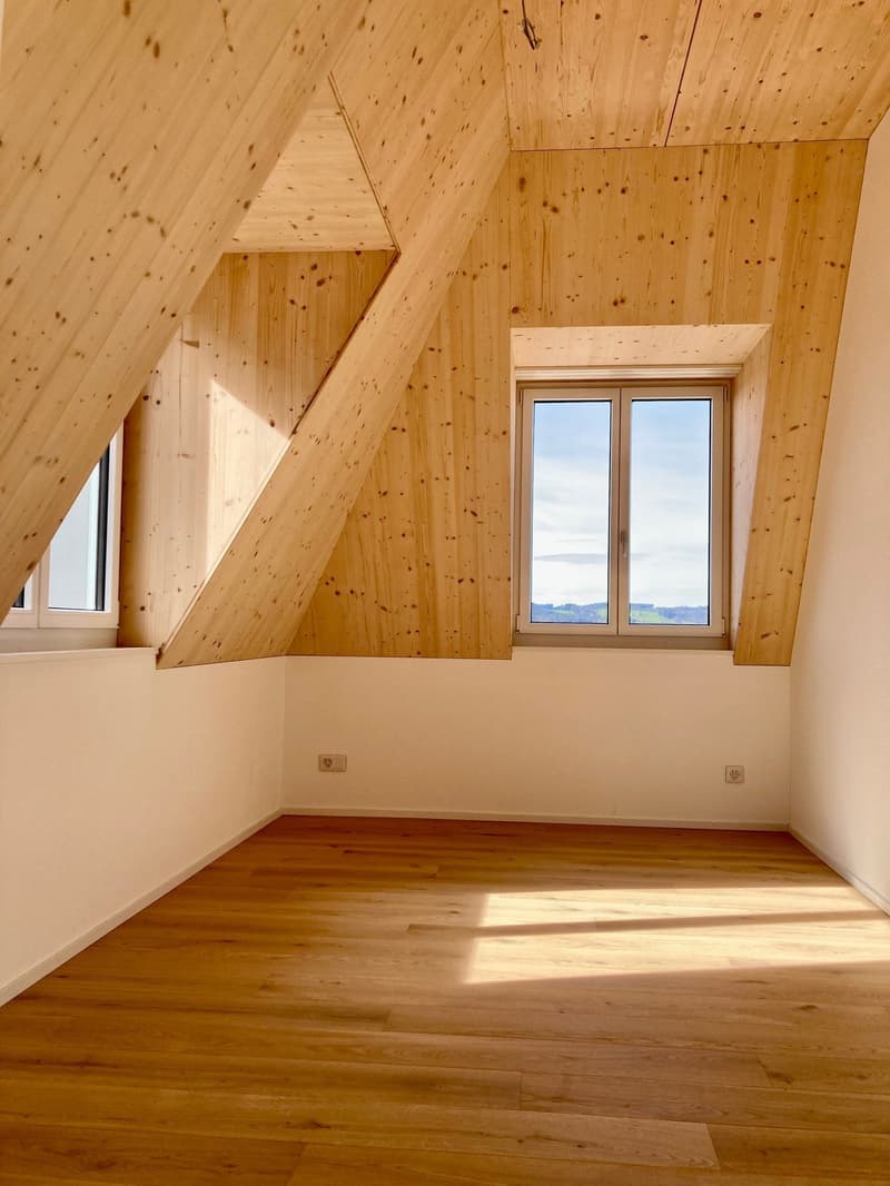 2.5-Zimmer-Dachwohnung 59m2 mit Dachterrasse 60m2 (6)