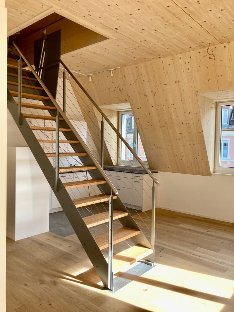 2.5-Zimmer-Dachwohnung 59m2 mit Dachterrasse 60m2 (3)