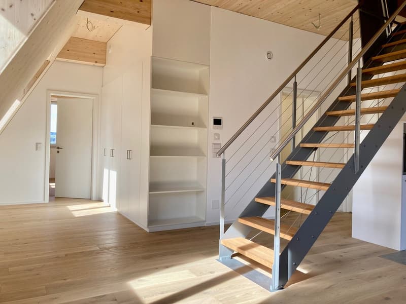 2.5-Zimmer-Dachwohnung 59m2 mit Dachterrasse 60m2 (2)