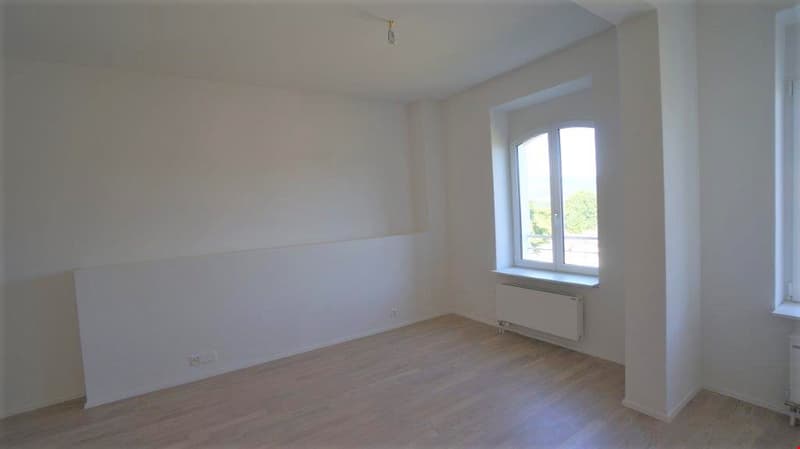 neuwertige 2.5 Zimmer-Wohnung EG zu vermieten (7)