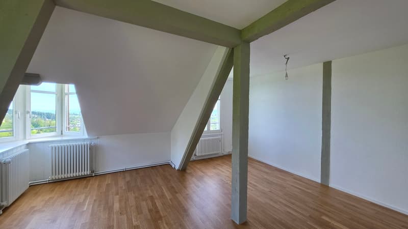 3.5 Zimmer-Dachwohnung 109m2 im 4. OG mit grosser Terrassen 36m2 (16)