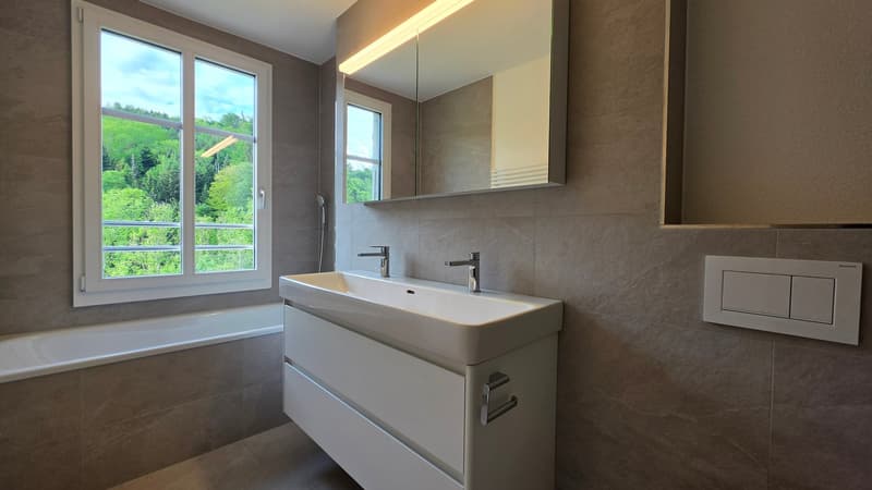 3.5 Zimmer-Dachwohnung 109m2 im 4. OG mit grosser Terrassen 36m2 (10)