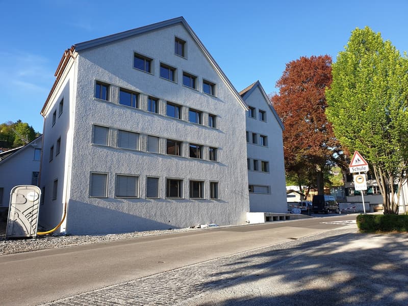 originelle 3.5 Zimmer-Dach-Wohnung West – 92.81 m2 (14)
