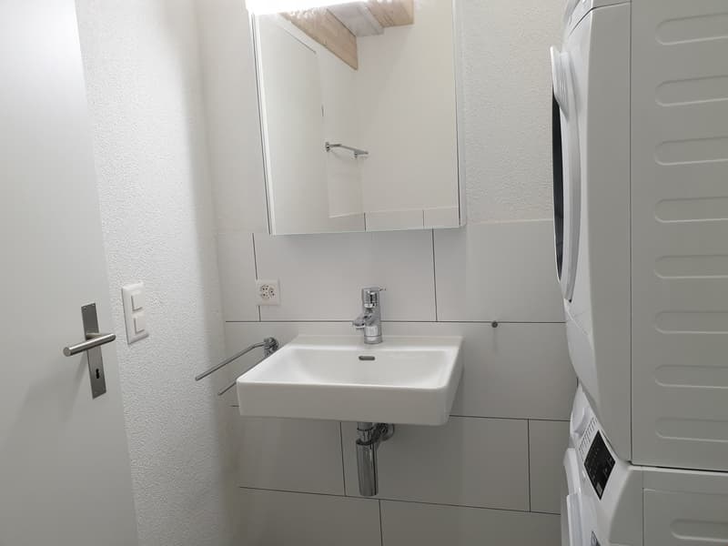 originelle 3.5 Zimmer-Dach-Wohnung West – 92.81 m2 (11)