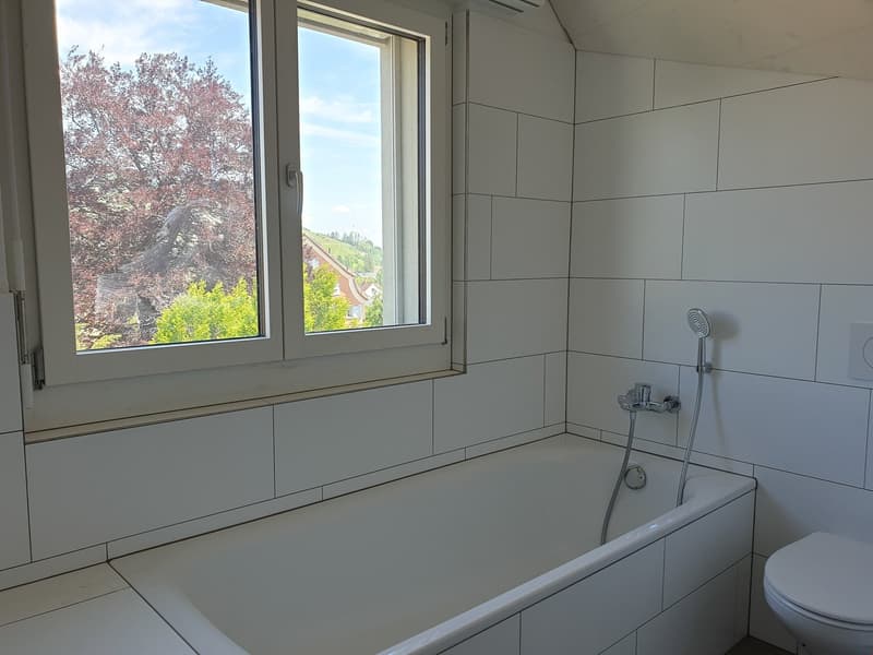 originelle 3.5 Zimmer-Dach-Wohnung West – 92.81 m2 (9)