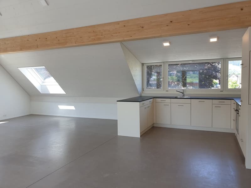 originelle 3.5 Zimmer-Dach-Wohnung West – 92.81 m2 (2)