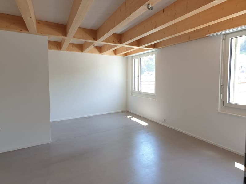 originelle 3.5 Zimmer-Dach-Wohnung West – 92.81 m2 (7)