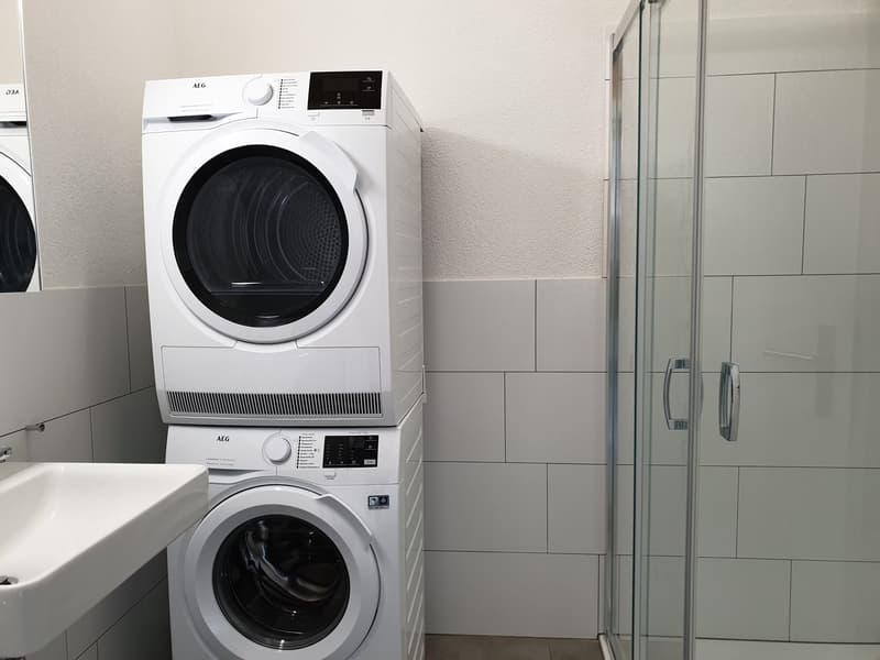 originelle 3.5 Zimmer-Dach-Wohnung West – 92.81 m2 (13)