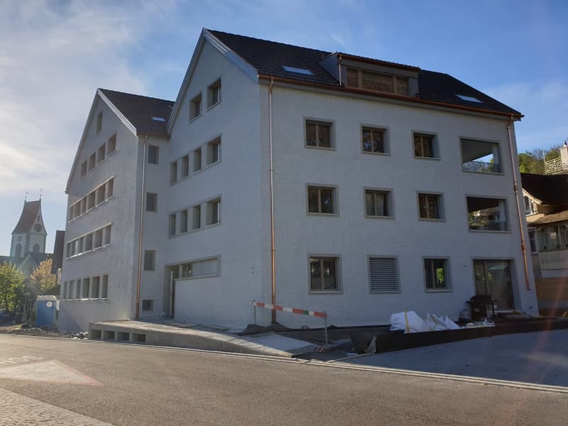 originelle 3.5 Zimmer-Dach-Wohnung West – 92.81 m2 (15)