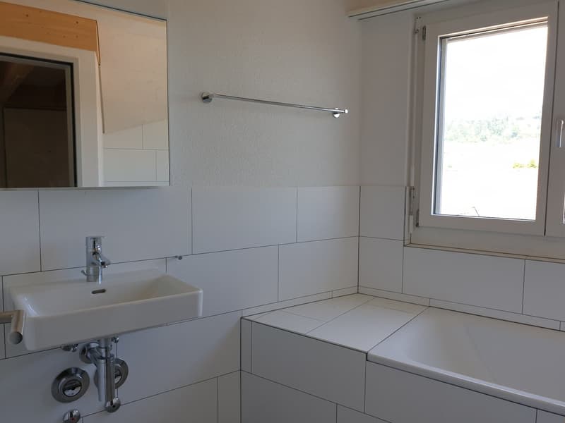 originelle 3.5 Zimmer-Dach-Wohnung West – 92.81 m2 (10)